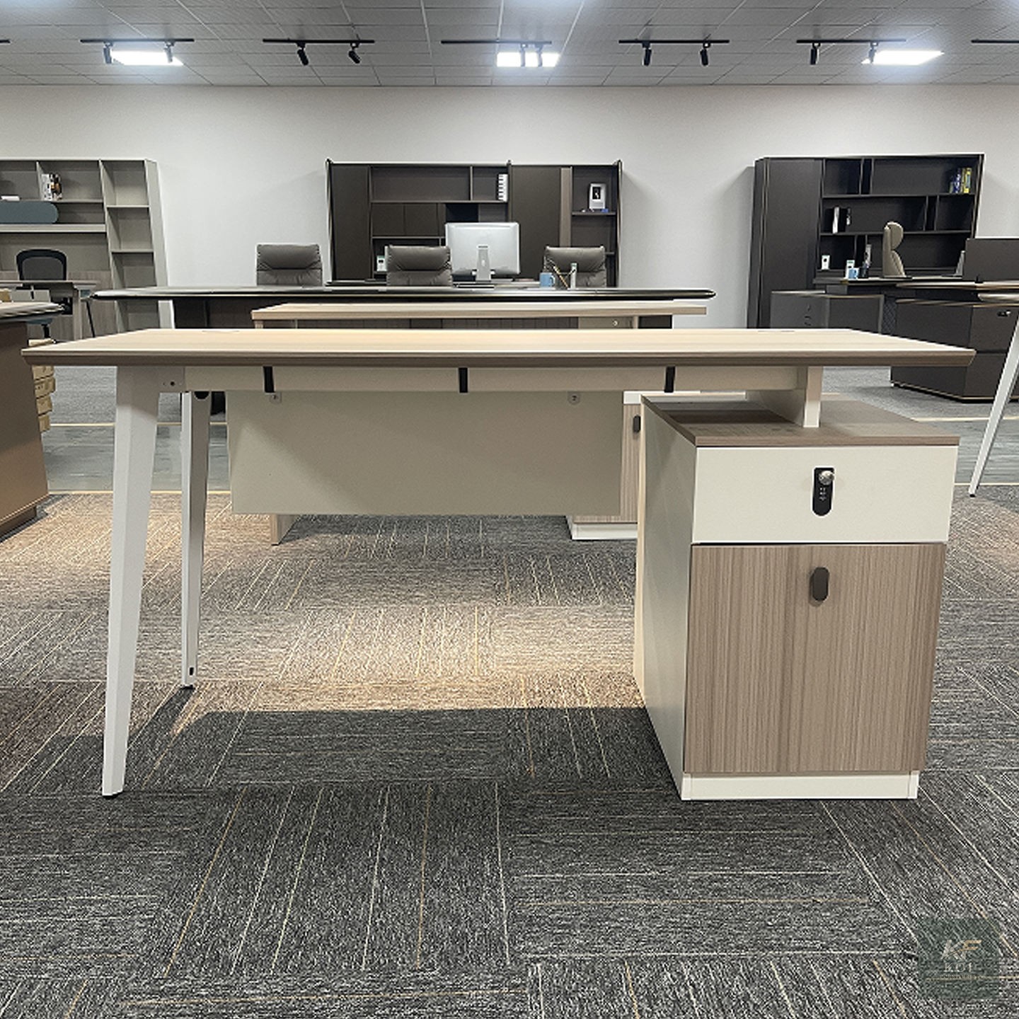 1.2M Executive Office Desk, 1.2-meter executive office desk, 120cm executive office desk, executive office desk, executive office table, office desk, office workstation, executive computer desk, manag